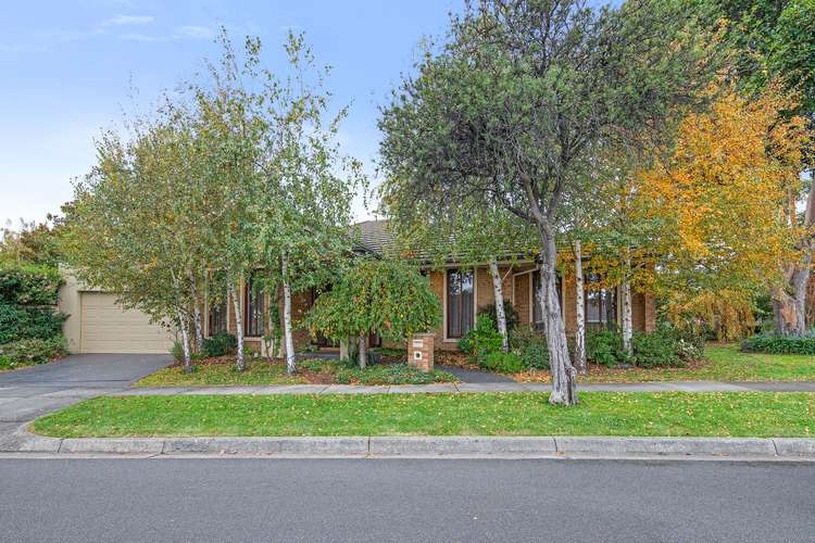 Main view of Homely unit listing, 25A Miller Crescent, Mount Waverley VIC 3149