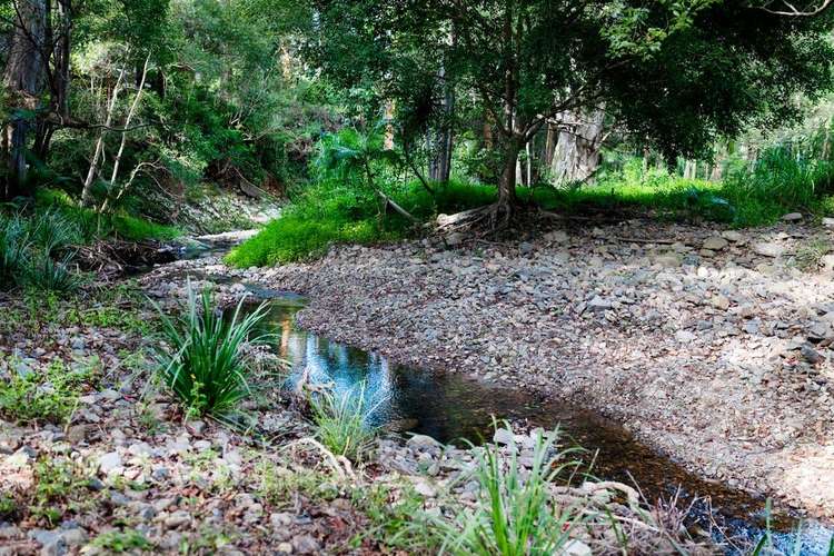 Second view of Homely house listing, 11 Wisteria Court, Tallebudgera Valley QLD 4228