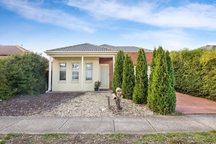Second view of Homely house listing, 6 Healesville Loop, Craigieburn VIC 3064