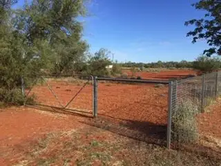 Main view of Homely land listing, 39 Leo Street, Eulo QLD 4491
