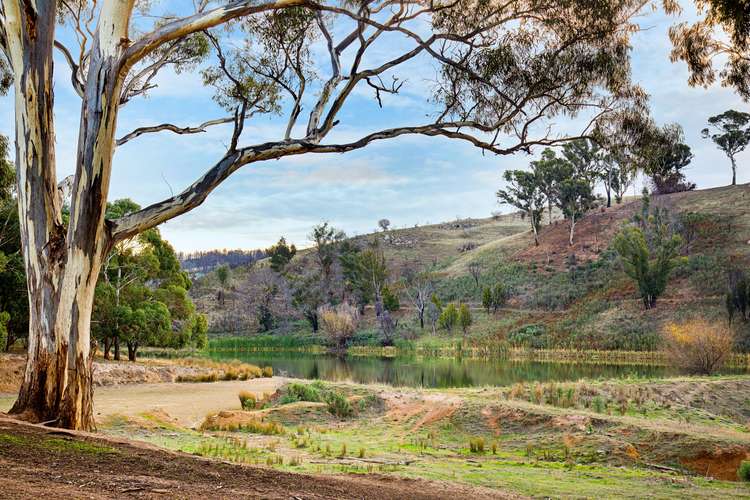 Fifth view of Homely residentialLand listing, LOT 34 Neudorf Road, Lobethal SA 5241