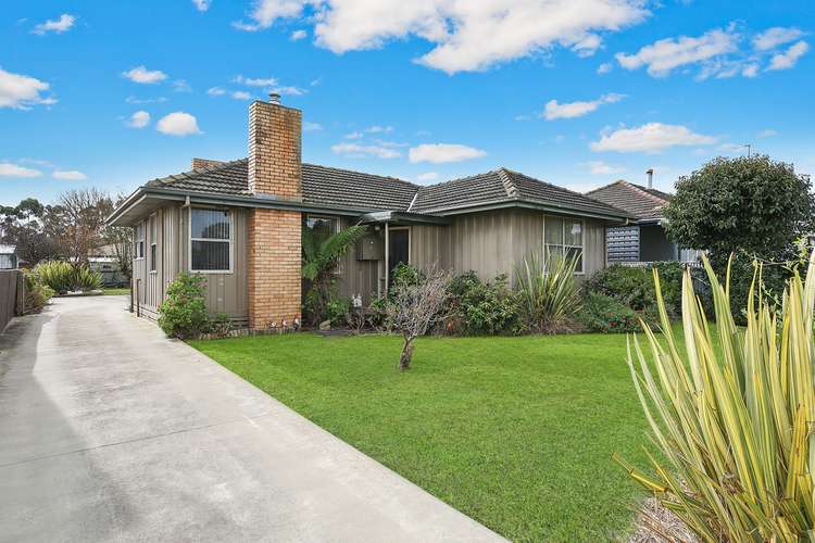 Main view of Homely house listing, 64 Mccrae Street, Terang VIC 3264