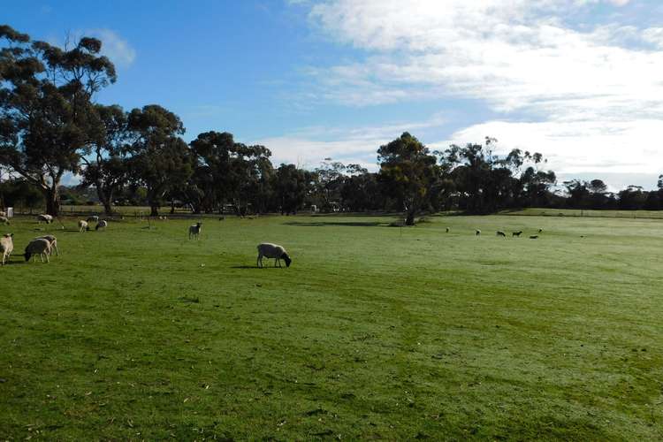 Second view of Homely residentialLand listing, Various Lots Western Drive, Bordertown SA 5268