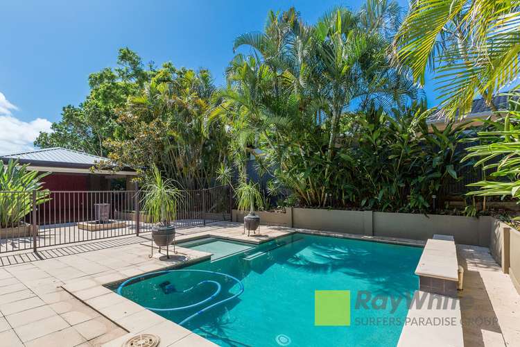 Main view of Homely house listing, 31 AKOONAH Street, Hope Island QLD 4212