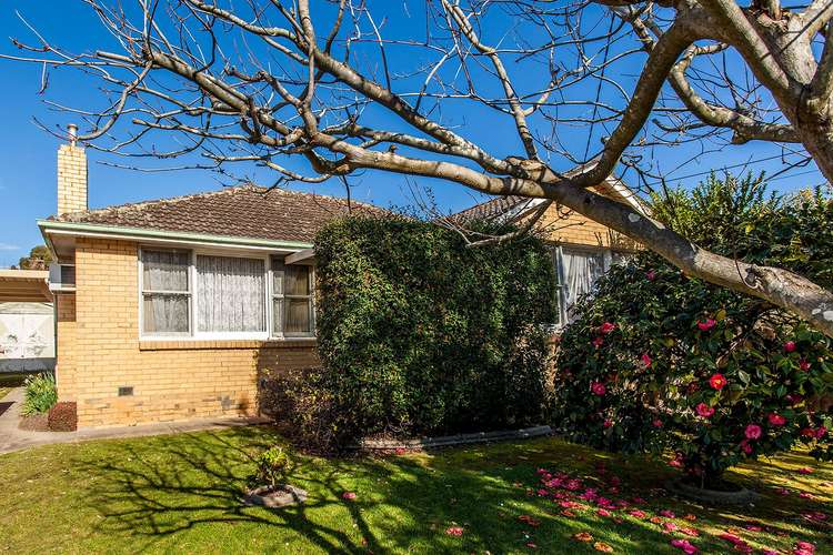 Main view of Homely house listing, 14 Kathleen Street, Blackburn North VIC 3130