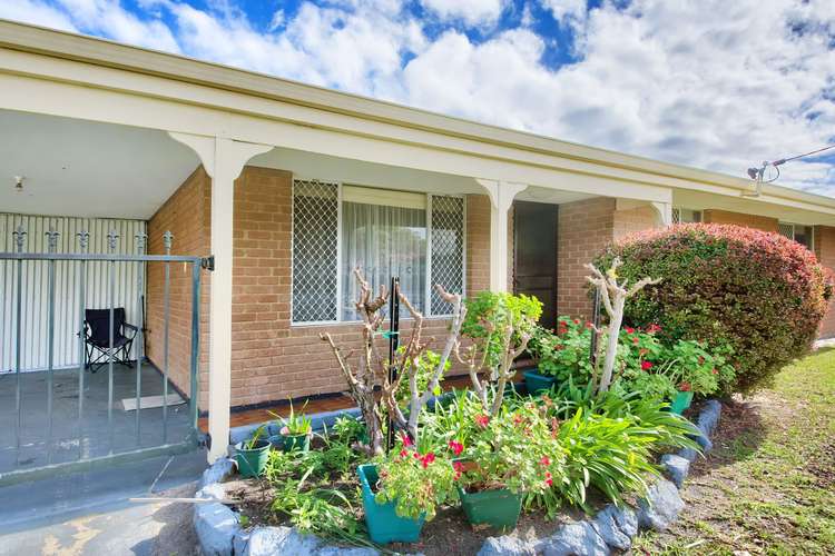 Third view of Homely house listing, 351 Lord Street, Beechboro WA 6063