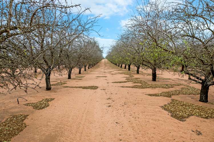 Fifth view of Homely ruralOther listing, 'Leggetts' Gordon Road, Loxton SA 5333