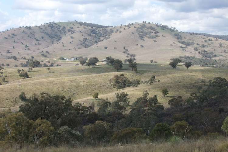 Main view of Homely ruralOther listing, 1931 The Bridle Track, Bruinbun NSW 2795