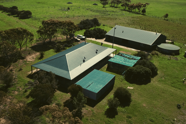 317 Nine Mile Road, Ashville SA 5259