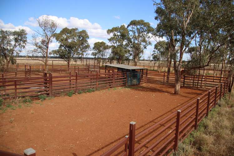 Seventh view of Homely ruralOther listing, 545 Bendeboi Road, Surat QLD 4417