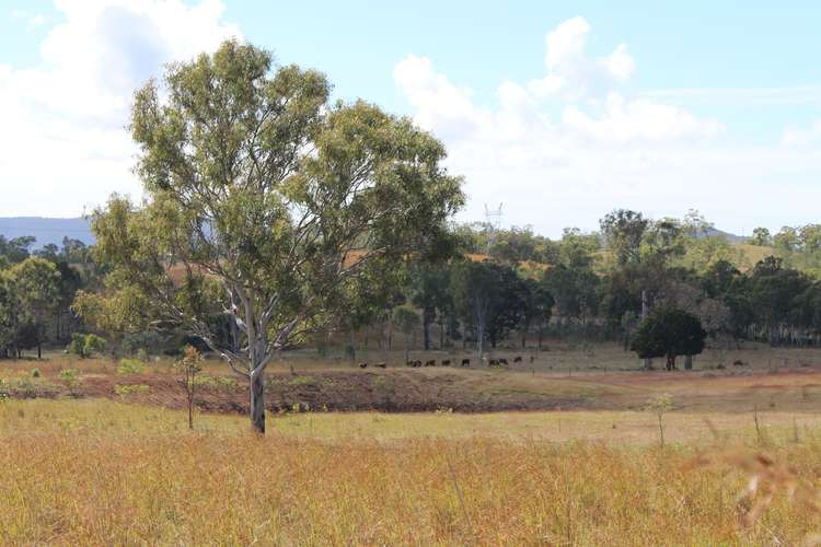 Sixth view of Homely ruralOther listing, 415 The Narrows Road, Mount Larcom QLD 4695