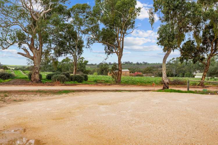 Fifth view of Homely residentialLand listing, 4 Adelaide North Road, Watervale SA 5452