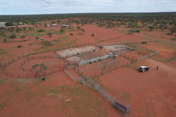 Second view of Homely ruralOther listing, Polelle Station Great Northern Highway, Meekatharra WA 6642