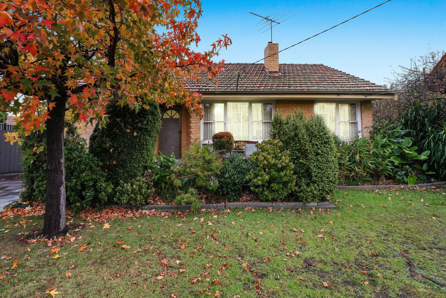 Main view of Homely house listing, 3 Bessell Court, Jacana VIC 3047