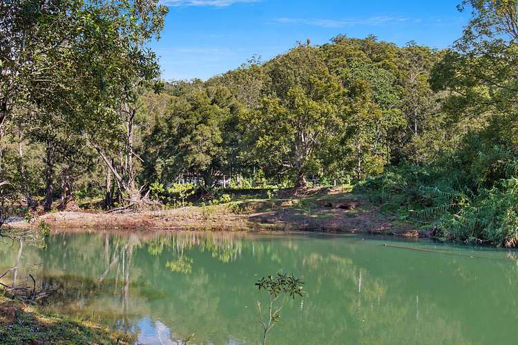 Second view of Homely house listing, 11 Satinwood Place, Chillingham NSW 2484