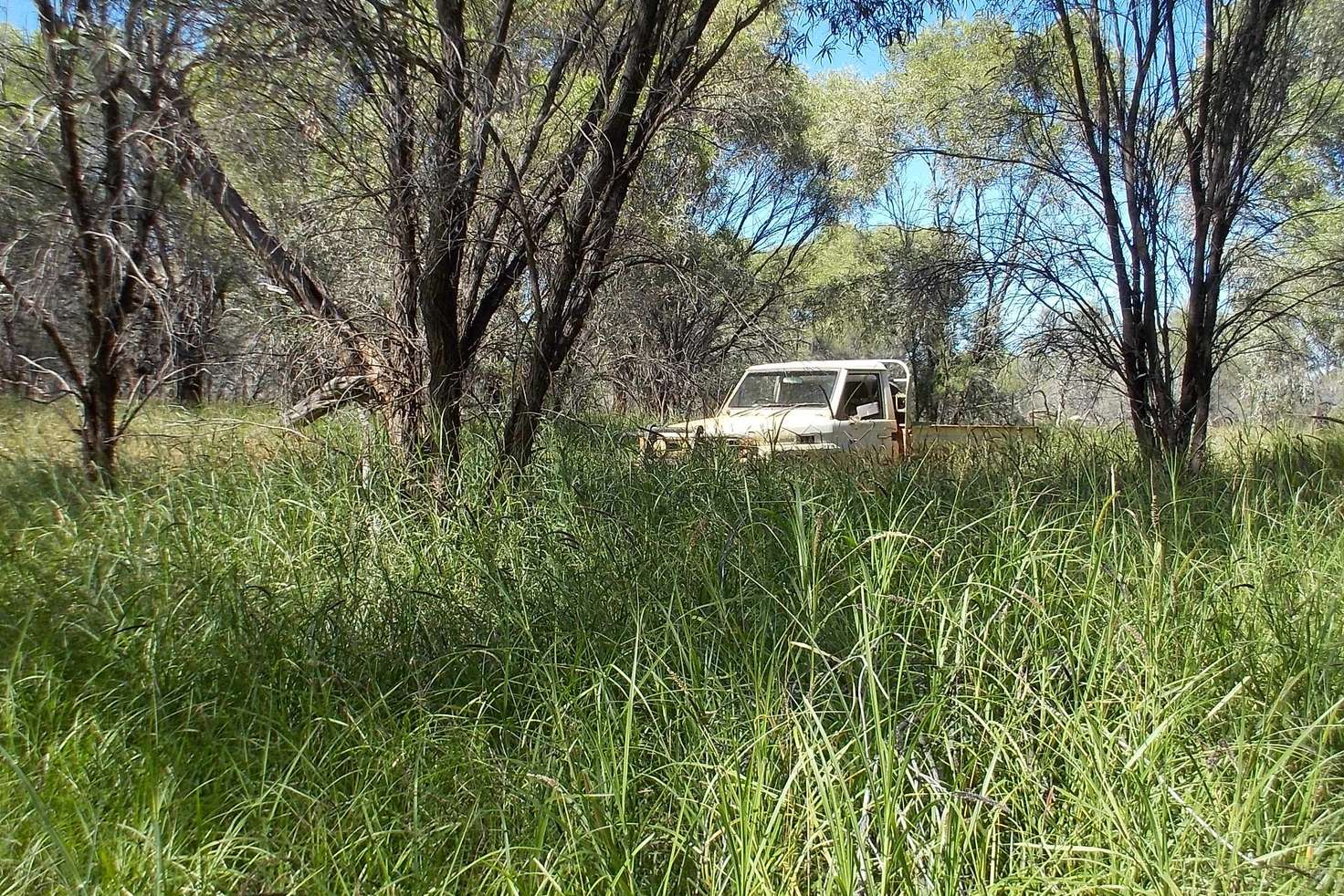 Main view of Homely ruralOther listing, Pingandy Station via Meekatharra, Meekatharra WA 6642