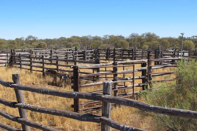 Seventh view of Homely ruralOther listing, Pingandy Station via Meekatharra, Meekatharra WA 6642