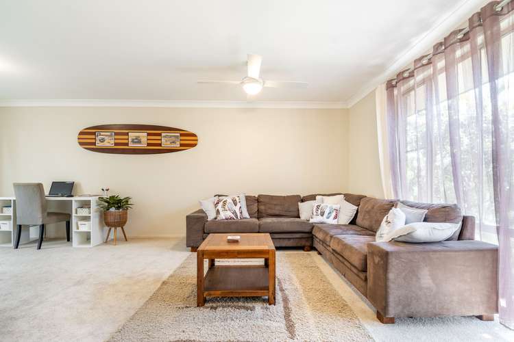 Fifth view of Homely house listing, 58 Sunrise Blv, Byron Bay NSW 2481