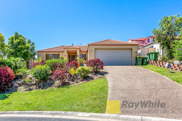 Main view of Homely house listing, 43 Kite Circuit, Arundel QLD 4214