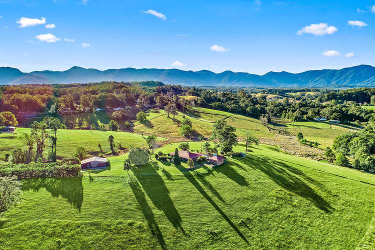 Main view of Homely residentialLand listing, 124 Hydes Creek Road, Bellingen NSW 2454