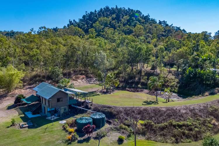 Main view of Homely house listing, 20 Domenica Road, Sugarloaf QLD 4800
