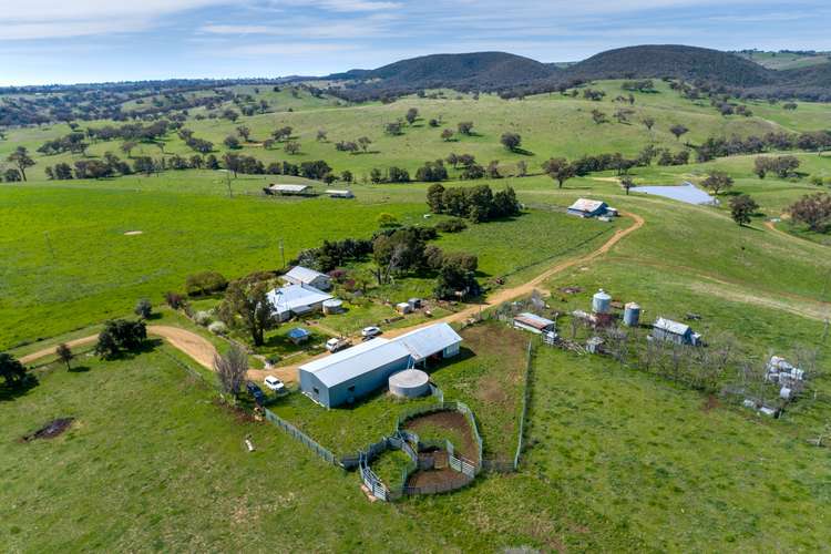 Main view of Homely ruralOther listing, 275 Paling Yards Loop, Orange NSW 2800