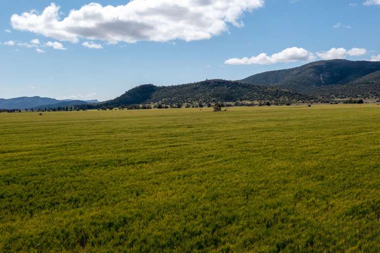 Fourth view of Homely ruralOther listing, 'Glenroc' 2484 Wean Road, Gunnedah NSW 2380