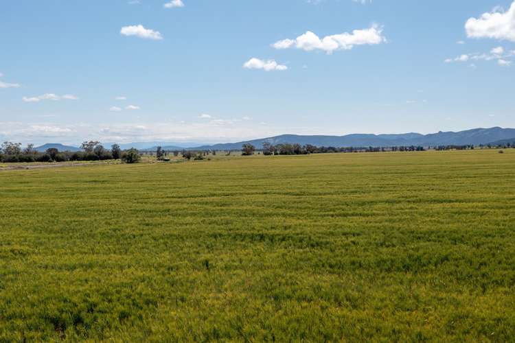 Fifth view of Homely ruralOther listing, 'Glenroc' 2484 Wean Road, Gunnedah NSW 2380