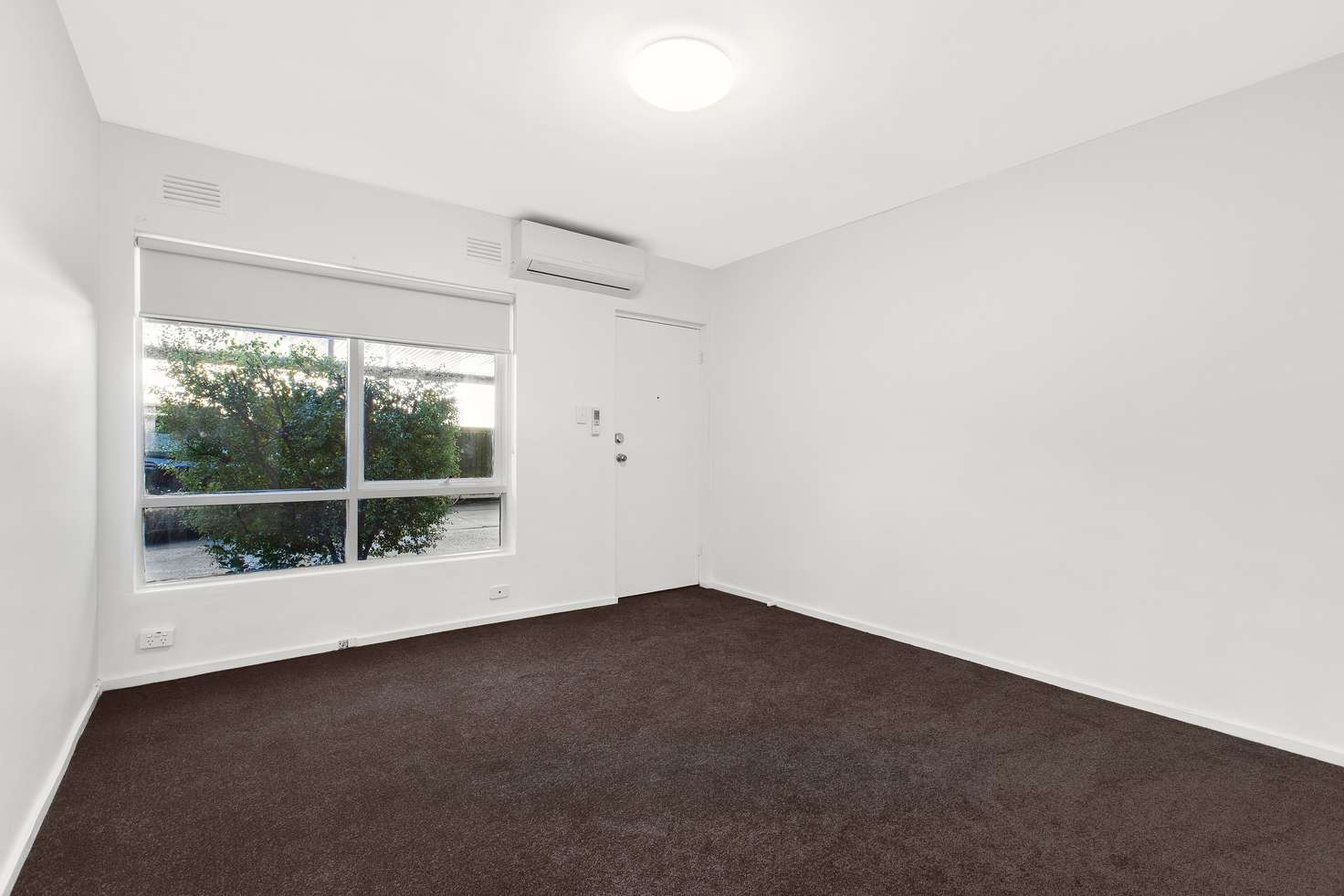 Main view of Homely unit listing, 1/55 Mimosa Road, Carnegie VIC 3163