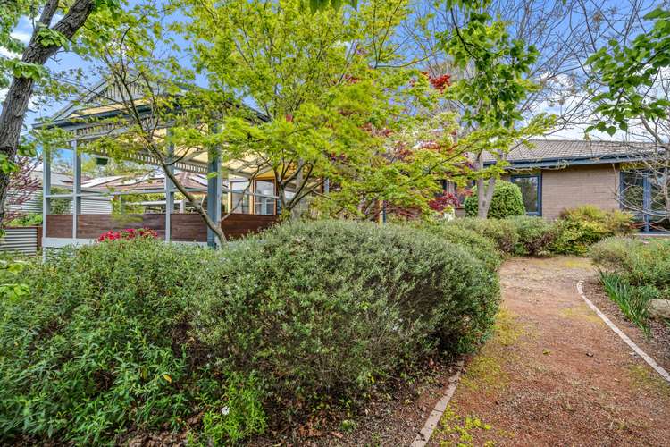 41 Alroy Circuit, Hawker ACT 2614