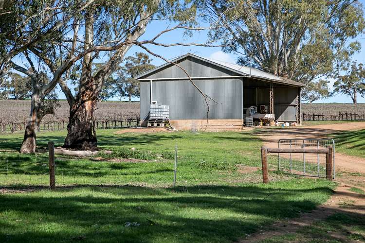 Sixth view of Homely viticulture listing, 329 Barinia Road, Clare SA 5453