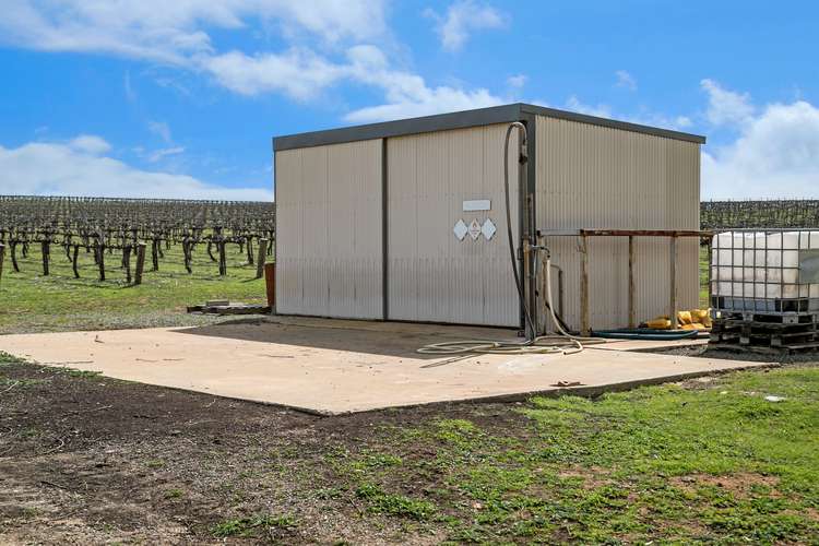 Seventh view of Homely viticulture listing, 329 Barinia Road, Clare SA 5453