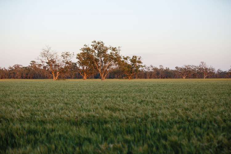 Sixth view of Homely ruralOther listing, 2506 Goonal Road, Bullarah NSW 2400