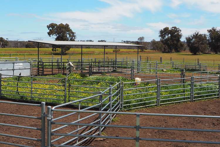 Fourth view of Homely ruralOther listing, Moondaminning Rees Road, Beaufort River WA 6394