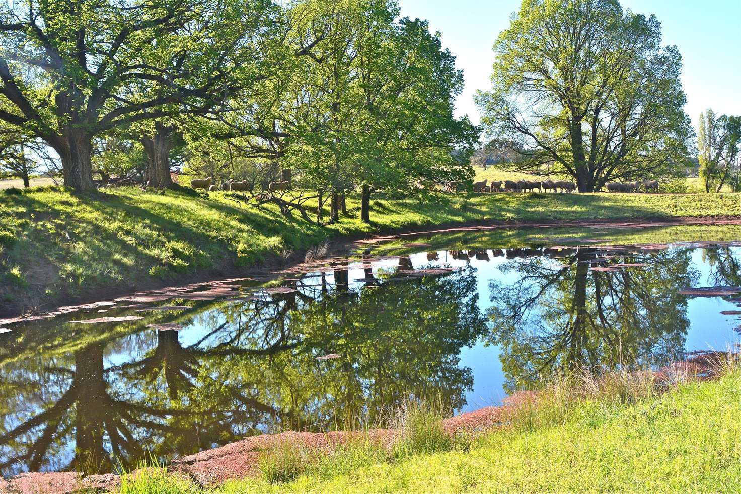 Main view of Homely ruralOther listing, 99 Heatherston Road, Armidale NSW 2350