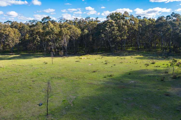 Seventh view of Homely ruralOther listing, 2-3775 Emmaville Road, Emmaville NSW 2371