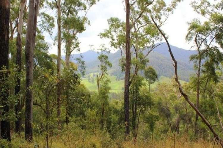 Main view of Homely ruralOther listing, lot 95 Kennaicle Road, Missabotti NSW 2449