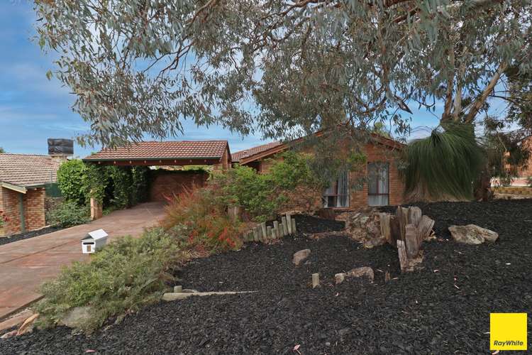 Second view of Homely house listing, 8 Karamarra Place, Kingsley WA 6026