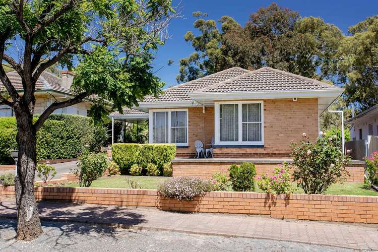 Main view of Homely house listing, 13 Boothby Street, Panorama SA 5041