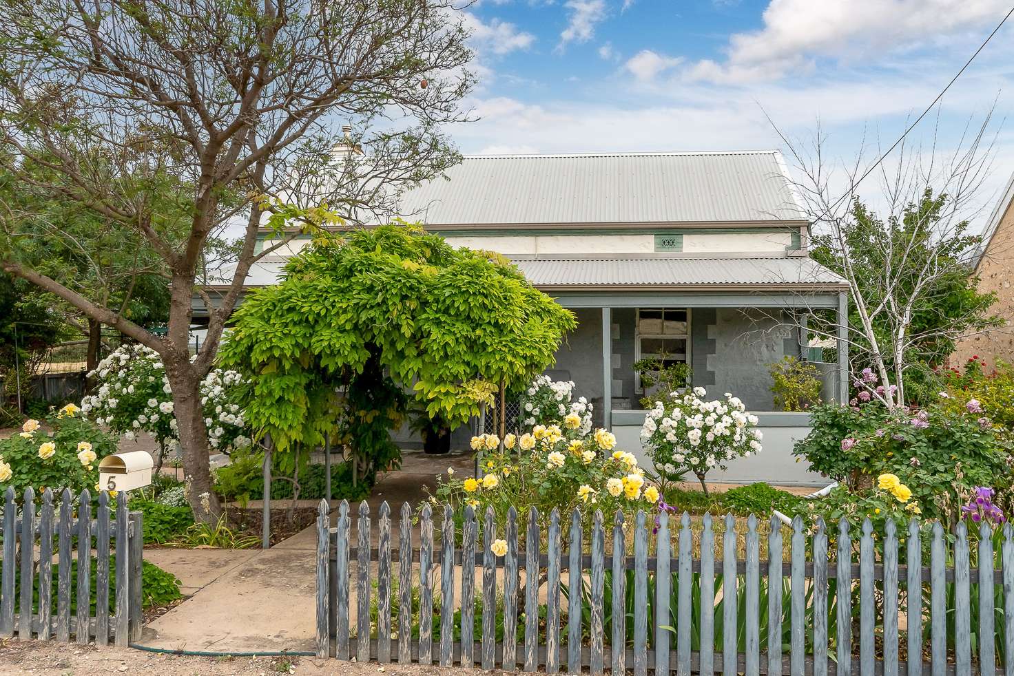 Main view of Homely house listing, 5 Seymour Street, Tailem Bend SA 5260