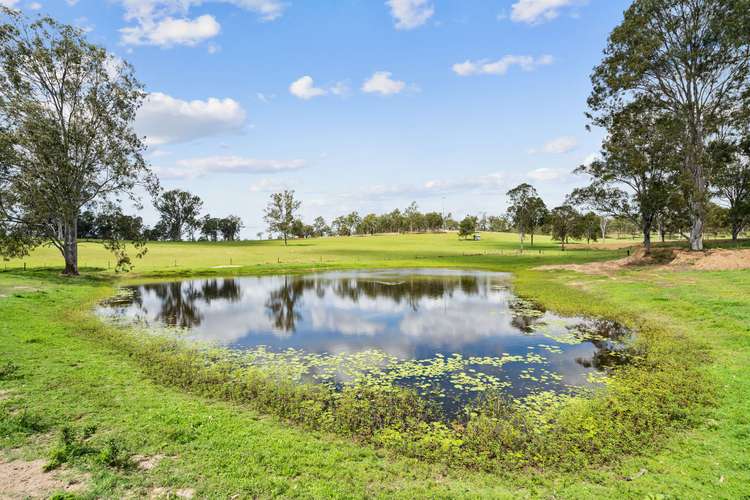 Third view of Homely ruralOther listing, 243 Forestry Road, Ringwood QLD 4343