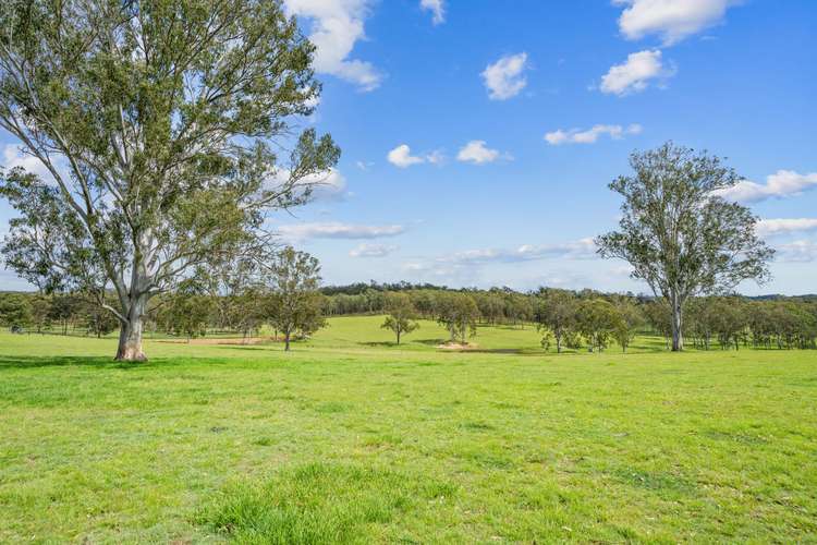 Fourth view of Homely ruralOther listing, 243 Forestry Road, Ringwood QLD 4343