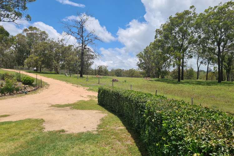 Sixth view of Homely ruralOther listing, 988 Pierce Creek Road, Crows Nest QLD 4355