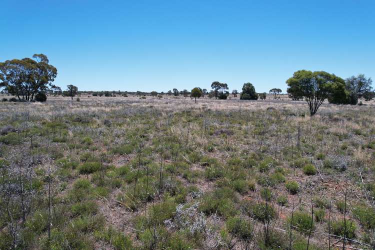 Second view of Homely ruralOther listing, Part Allandoon Peisley Road, Nyngan NSW 2825