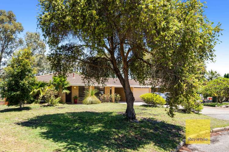 Main view of Homely semiDetached listing, 5B Wendlebury Way, Eden Hill WA 6054