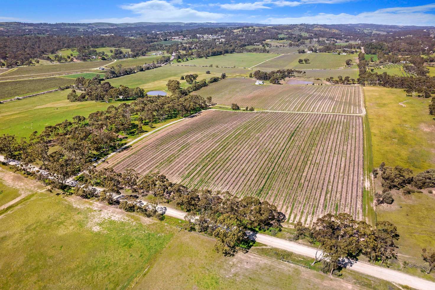 Main view of Homely ruralOther listing, Lot 20 Emu Rock Road, Clare SA 5453