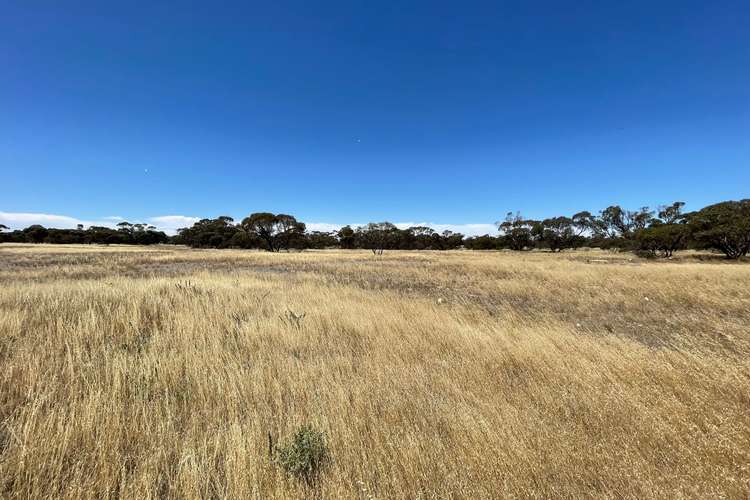 Third view of Homely residentialLand listing, LOT 91 Elwomple Road, Tailem Bend SA 5260