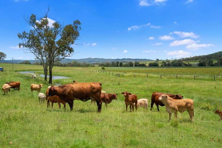 Second view of Homely ruralOther listing, 357 Scrub Creek Road, Scrub Creek QLD 4313