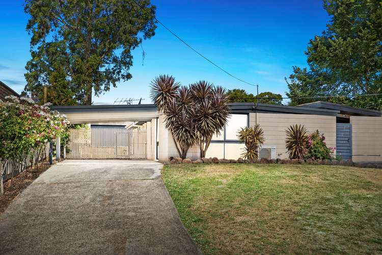 17 Fintona Court, Coldstream VIC 3770