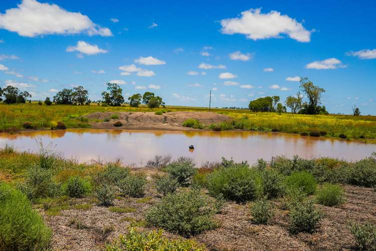Fourth view of Homely ruralOther listing, 111 Mount Pleasant Road, Irvingdale QLD 4404